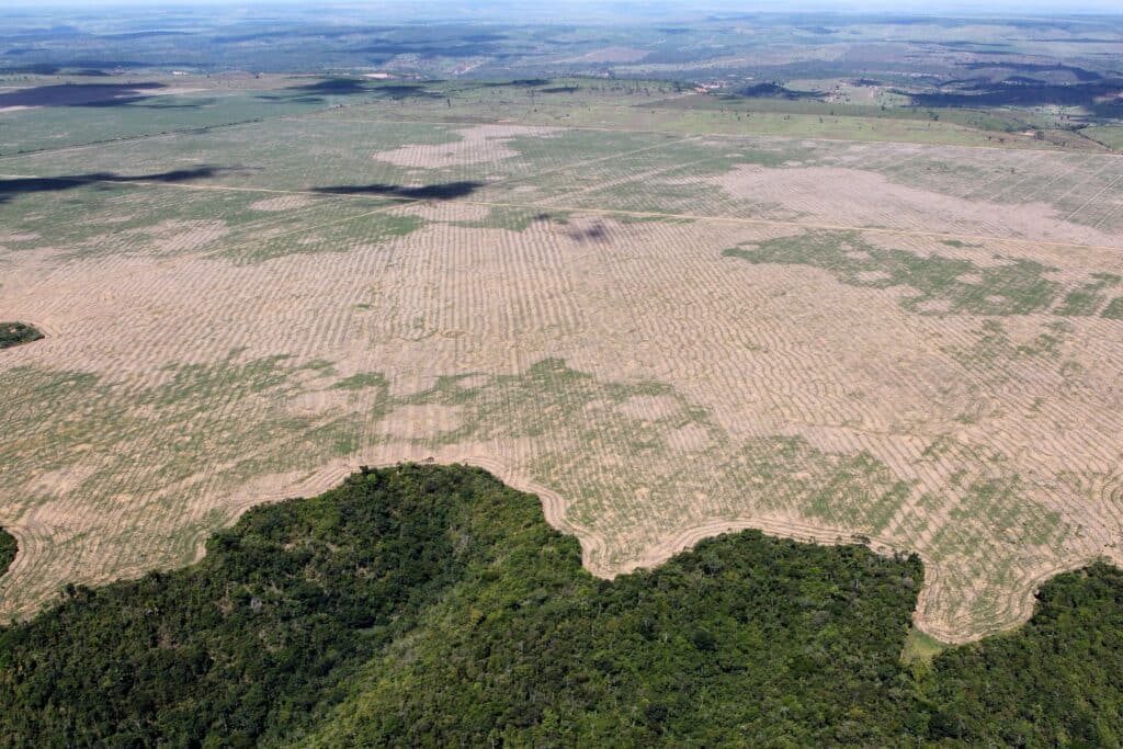 exemple de déforestation au Brésil