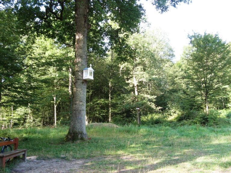 Sentier des Oratoires symbole de la promulgation du décret de forêt de protection pour Saint-Germain