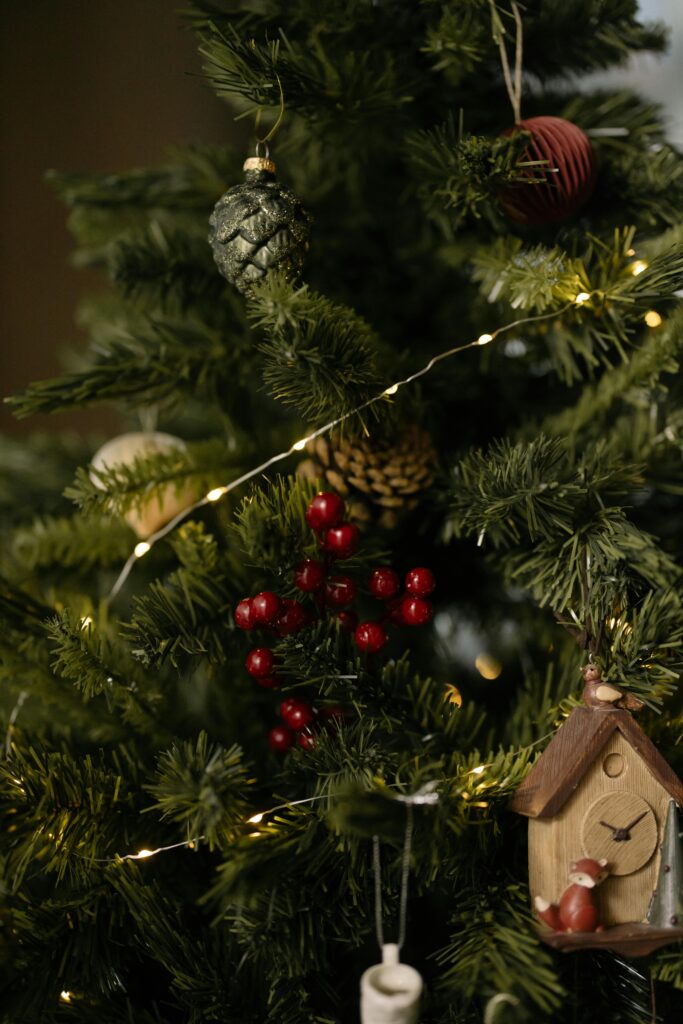 Image de pexels cottonbro 618841