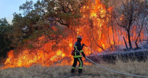 Pompier luttant contre un feu de forêt