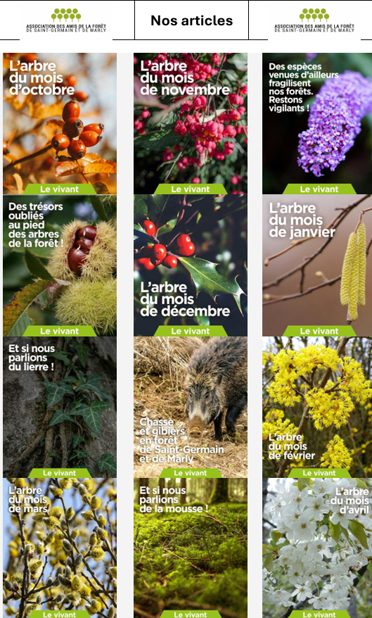 Affiche expo associations sur les articles publiés
